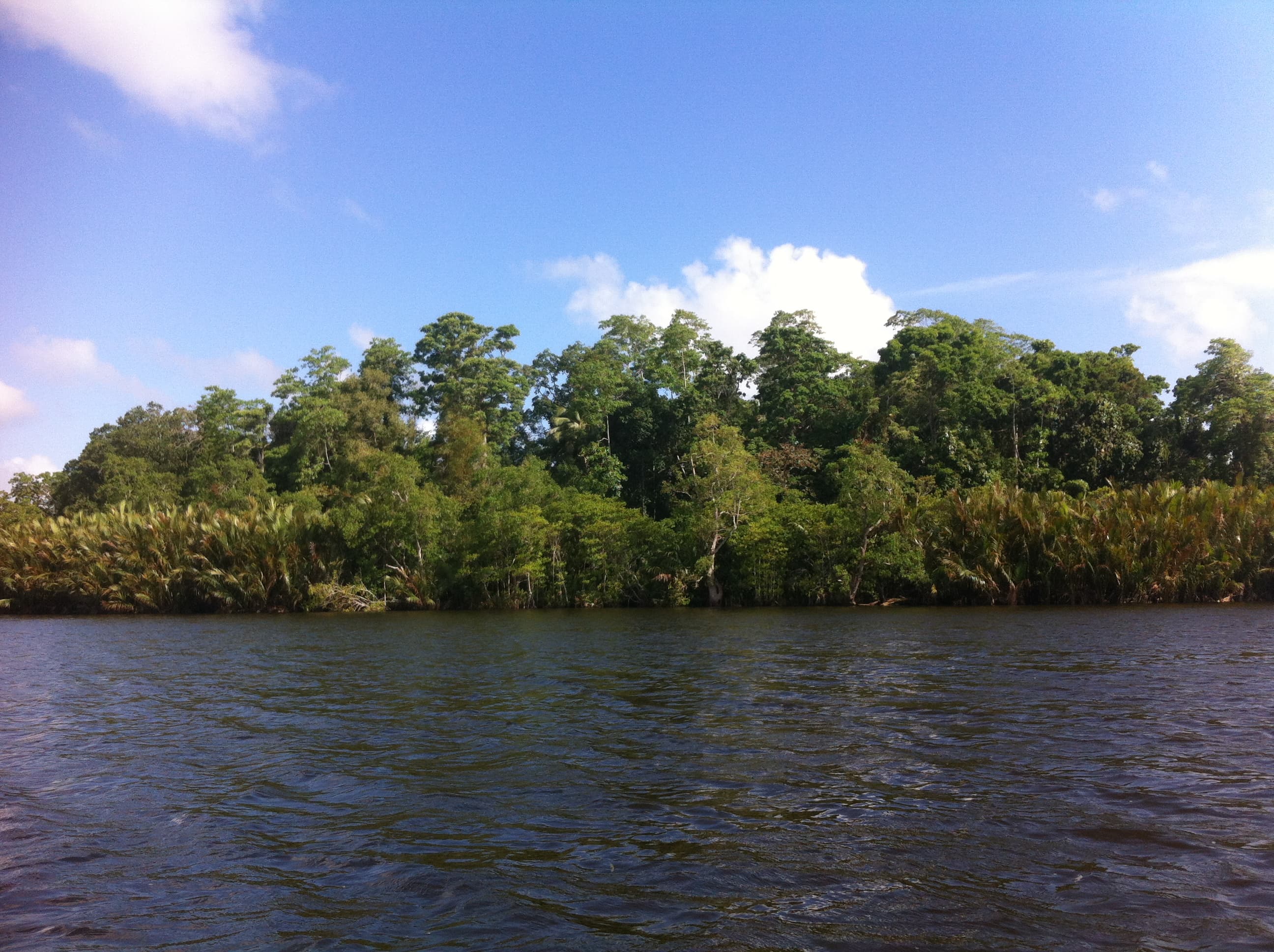 Gallery hero — riverside view